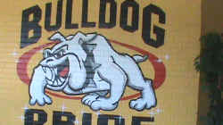 NFHS Bulldog Pride2.JPG (78346 bytes)