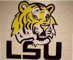 NFHS LSU3.jpg (56589 bytes)