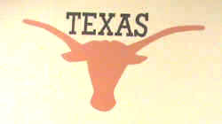 NFHS TEXAS Longhorns.JPG (48911 bytes)